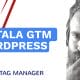 Cómo instalar Google Tag Manager en WordPress - Google Tag Manager